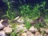 100_4953.JPG