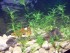 100_4966.JPG