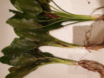 20191130_183208.jpg