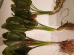 20191130_183212.jpg
