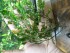 20191204_133157.jpg