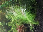 20191207_134357.jpg