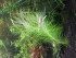 20191207_134357.jpg