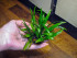 DSCF8019.jpg