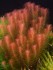 DSCN0867.JPG