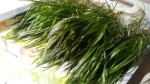 IMG_20191207_001608.jpg