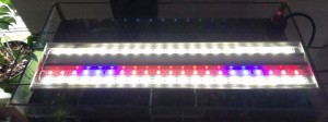 IMG_20191211_095022.jpg