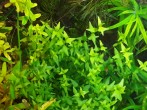 copy_386_20191213_185059.jpg