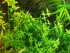 copy_386_20191213_185059.jpg