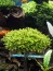 copy_472_IMG-8d565ee561cbb2cfec92f3872c86eff7-V.jpg