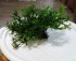 copy_514_DSC_0033.jpg