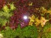 copy_598_copy_231_210520171733.jpg