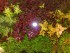 copy_880_copy_231_210520171733.jpg