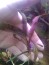 IMG_20200103_103426441.jpg