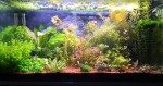 copy_605_IMG_20191221_174657.jpg
