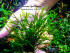 copy_899_DSCF6115.jpg