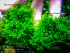 copy_975_copy_428_copy_632_copy_353_copy_413_copy_748_copy_547_copy_632_DSCF6121.jpg