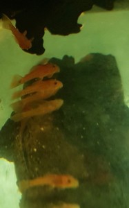 20191212_200929.jpg