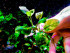 DSCF8090.jpg