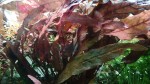 IMG_20200128_195910_0.jpg