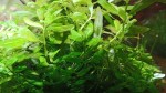 IMG_20200215_185141_6.jpg