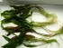 copy_19_DSCN7627.jpg