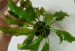 copy_223_P_20200205_140715_1.jpg