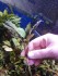 copy_322_IMG_20200225_201955.jpg