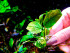 copy_376_copy_191_DSCF8089.jpg