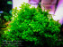copy_57_copy_672_copy_258_copy_599_copy_370_copy_793_copy_124_copy_513_copy_702_copy_335_DSCF6119.jpg
