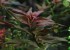 copy_853_MG_8489.jpg