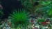 copy_879_IMG_20191026_234740.jpg