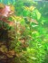 100_5576.JPG