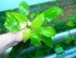 100_5585.JPG