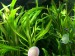 31C9C2BA-126B-48B0-9EC0-7B40DED913B6.jpeg
