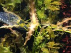6F730BBD-4FF9-45BE-B359-360CBCFCB26E.jpeg