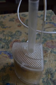 DSC_0006.JPG