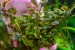 DSC_6867.jpg