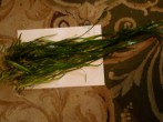 IMG_20200315_085442.jpg