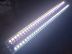 LL4.jpg