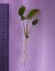copy_504_20200302_140955.jpg