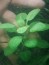 copy_79_copy_809_copy_27_изображение_viber_2019-10-19_12-17-22.jpg