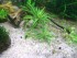 100_5778.JPG