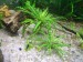 100_5779.JPG