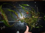 100_5889.JPG