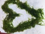 D76FA1E7-51EA-4DDD-812F-A3EF378D6528.jpeg