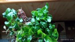IMG_20200416_130400.jpg