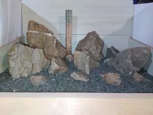 IMG_20200425_193755.jpg