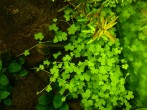 IMG_9148.jpeg