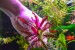 copy_296_DSC_6871.jpg